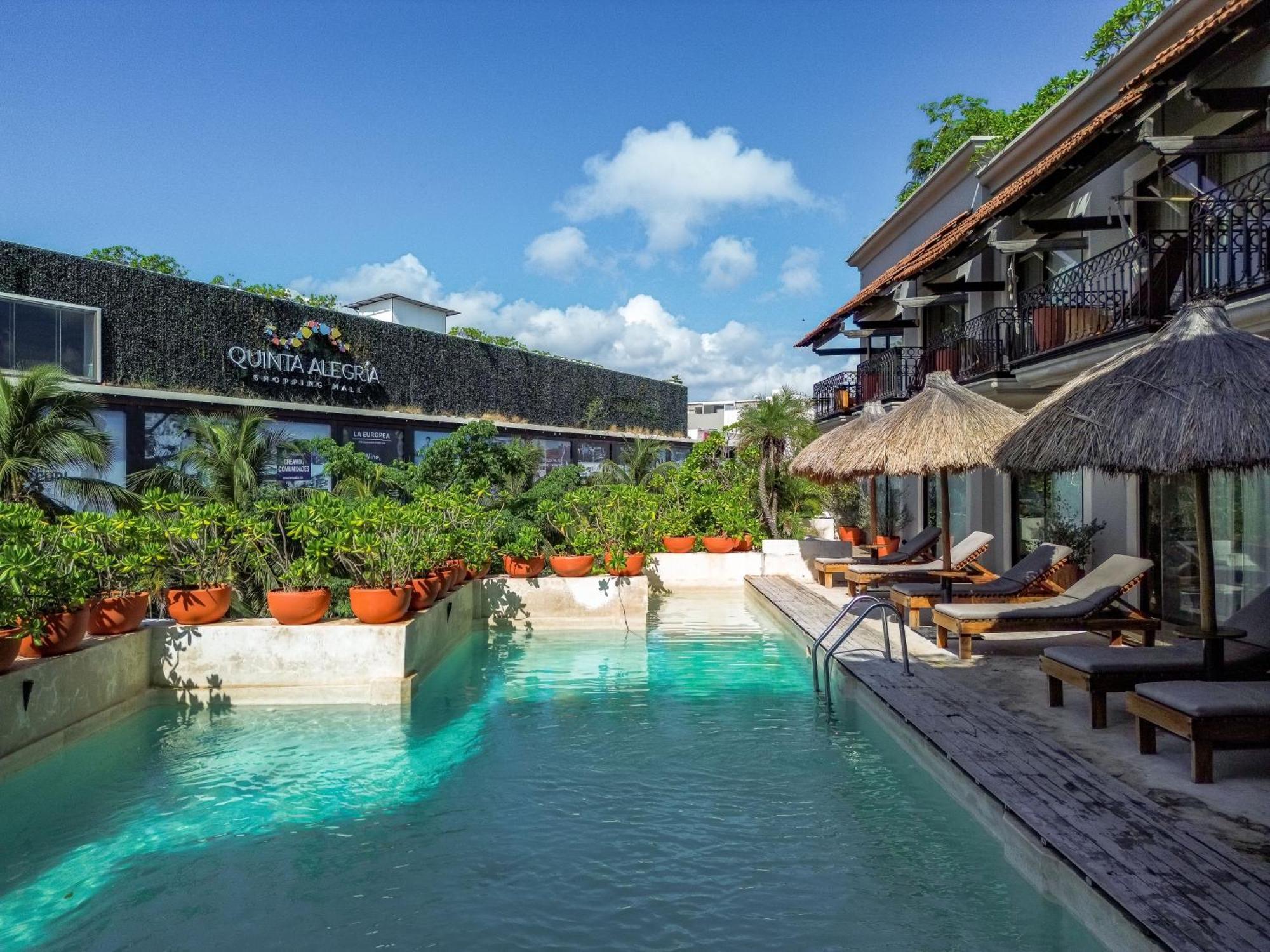 Caribbean Paradise Hotel & Spa - 5Th Avenue Playa del Carmen Bagian luar foto