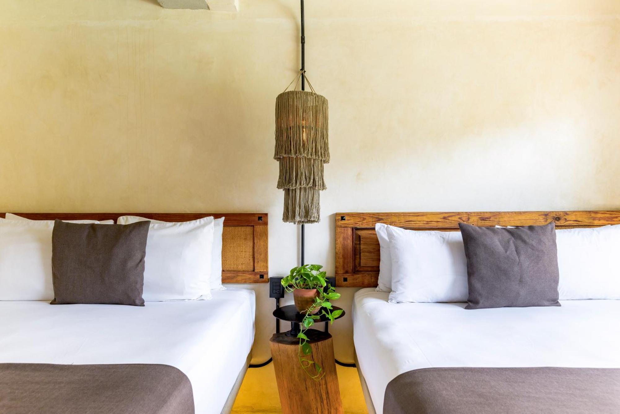 Caribbean Paradise Hotel & Spa - 5Th Avenue Playa del Carmen Bagian luar foto